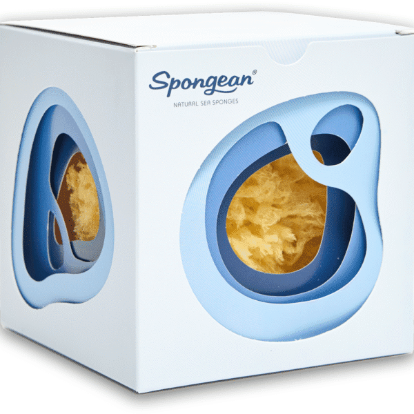 ספוג אלמוגים לאמבטיה