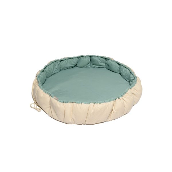 משטח פעילות - נסט