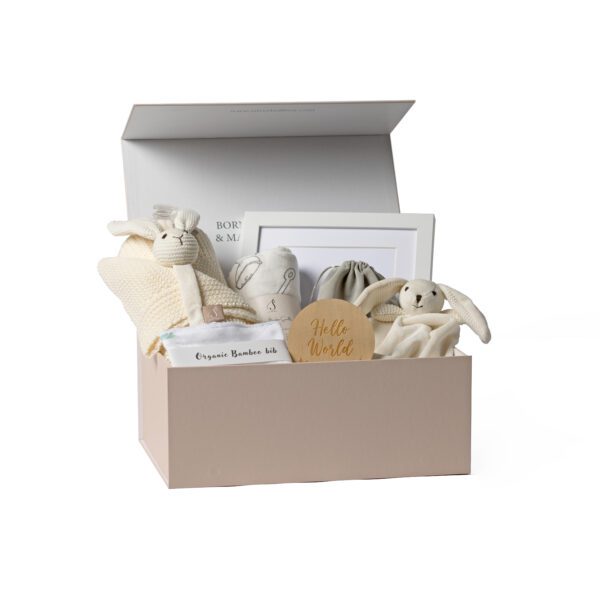 WELCOME BUNNY PREMIUM